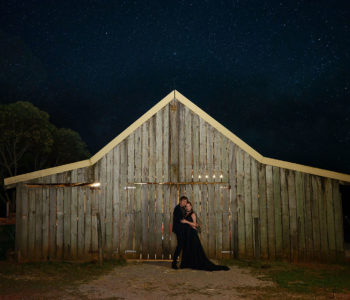 pop up wedding / backyard wedding